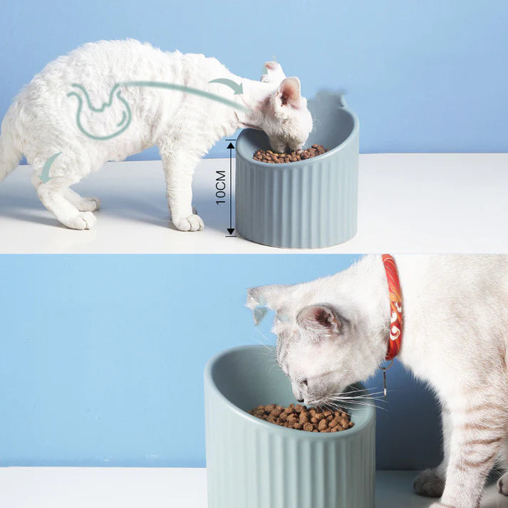 High Rise Pet Bowls 