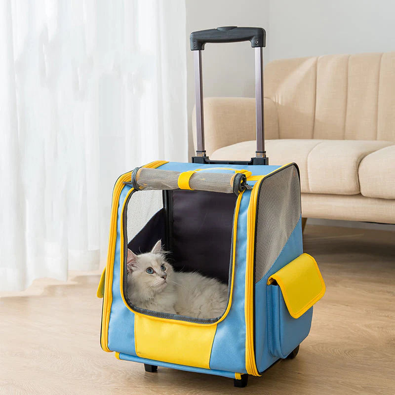 Creating a Healthy Lifestyle for Your Pet: Replacing Pet Cage Carriers with Pet Trolley Backpacks