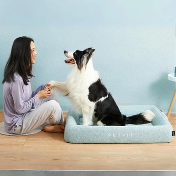 The Difference Between Orthopedic vs. Regular Pet Beds: What's Best for Your Furry Friend?
