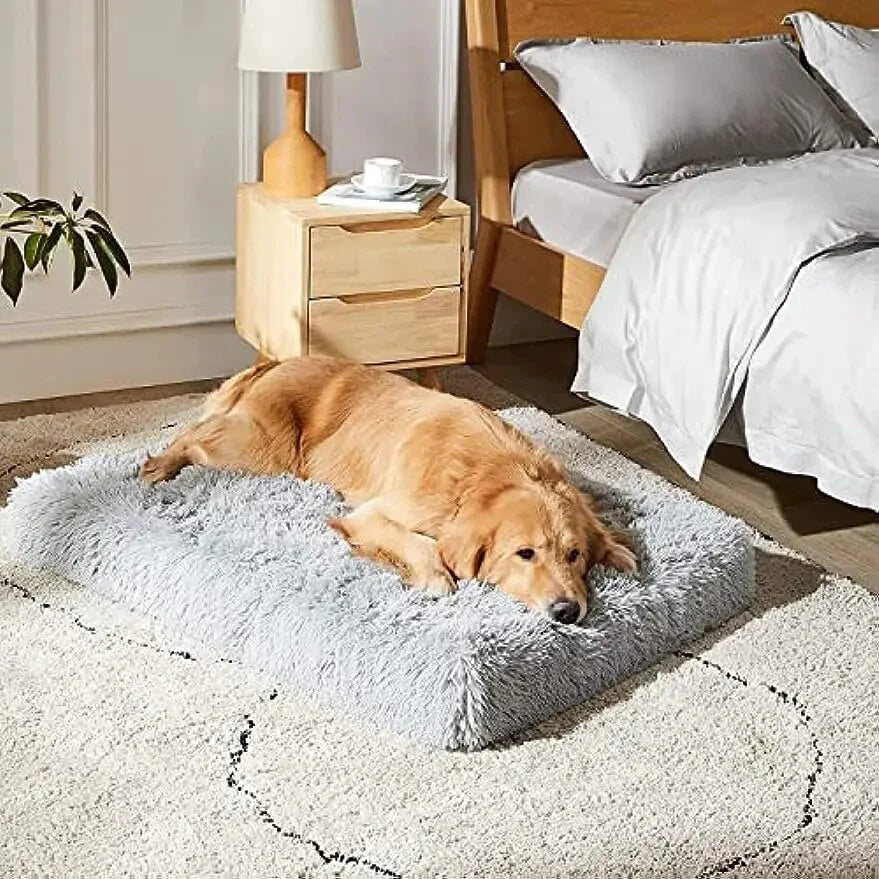 How To Wash Dog Beds: What Pet Parents Need To Know