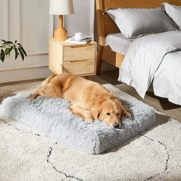 How To Wash Dog Beds: What Pet Parents Need To Know