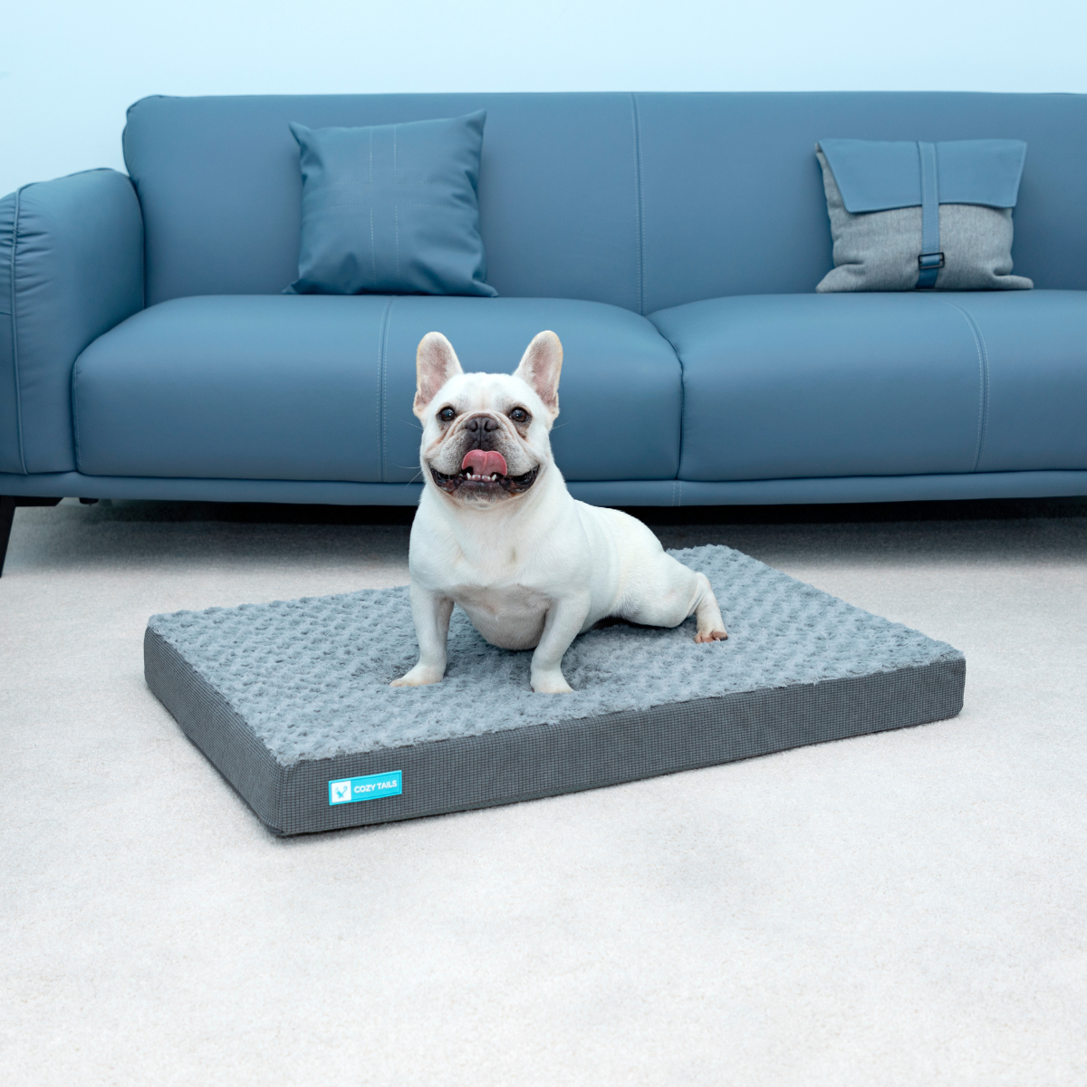 Memory Foam Dog Bed | Pawsi Clawsi Dog Bed 