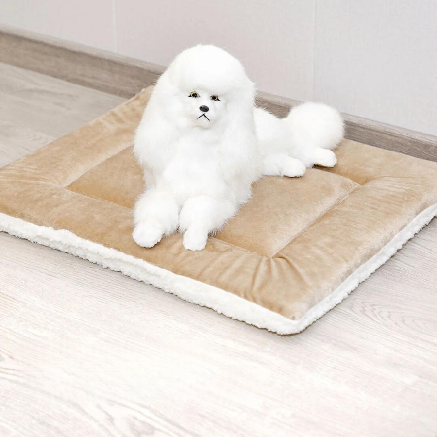  Best Orthopedic Dog Mat | Dog Mat