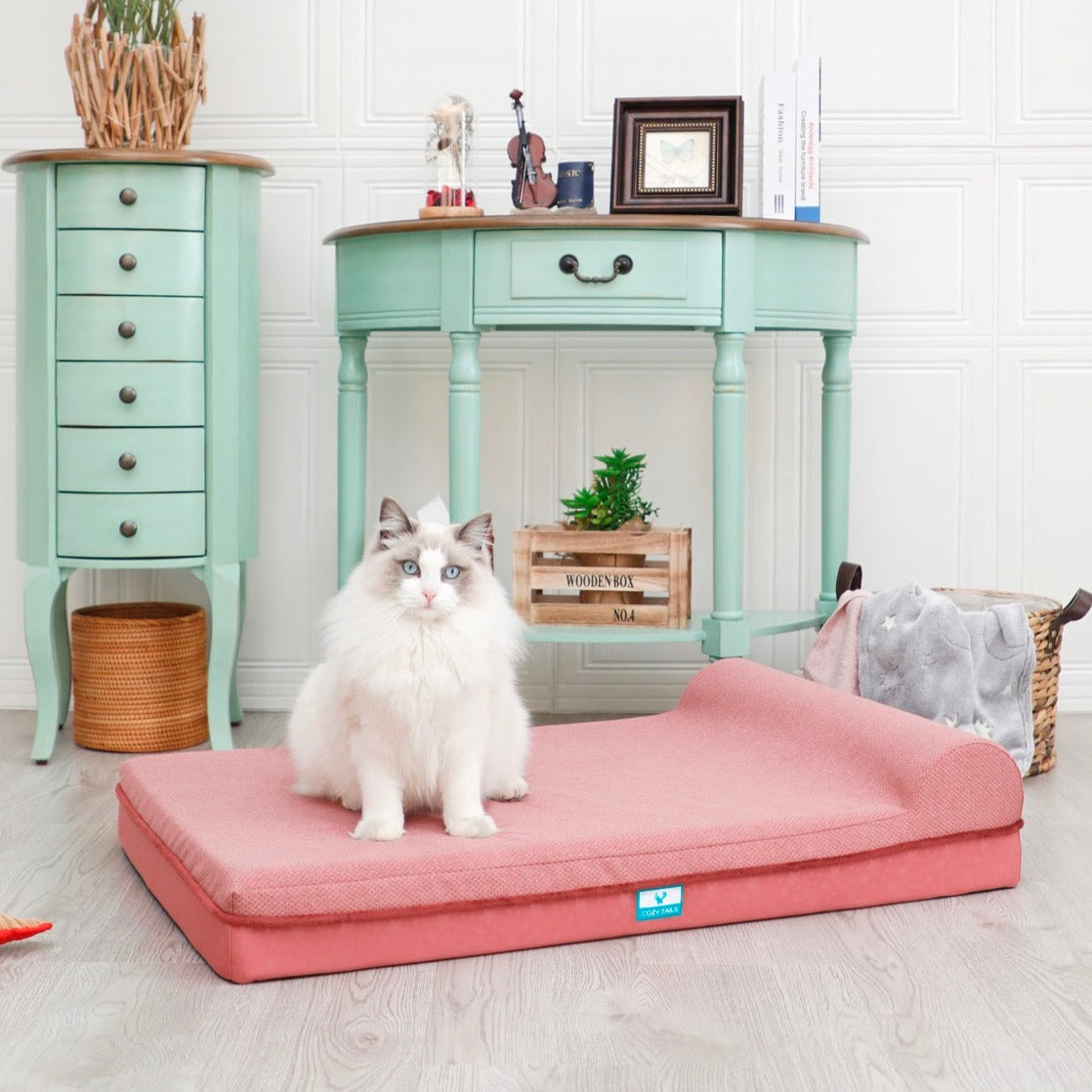 Best Calming dog bed | Pawsi Clawsi