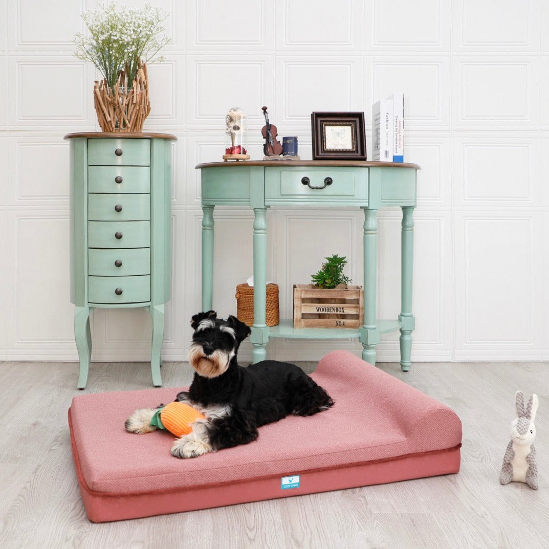 Pawsi Clawsi  Calming Dog Bed With Side Pillow