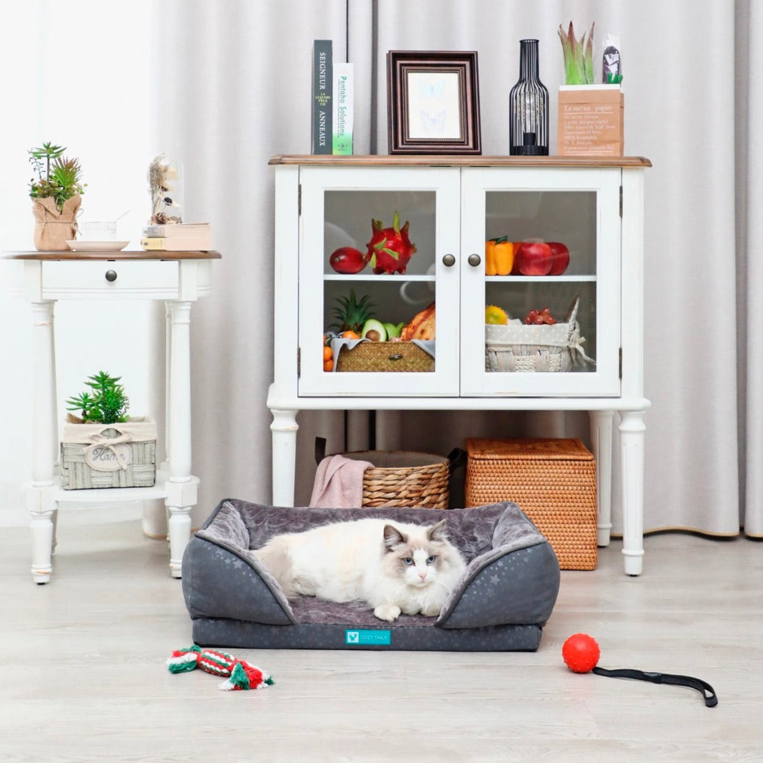 Best Dog Couch Bed | Pawsi Clawsi