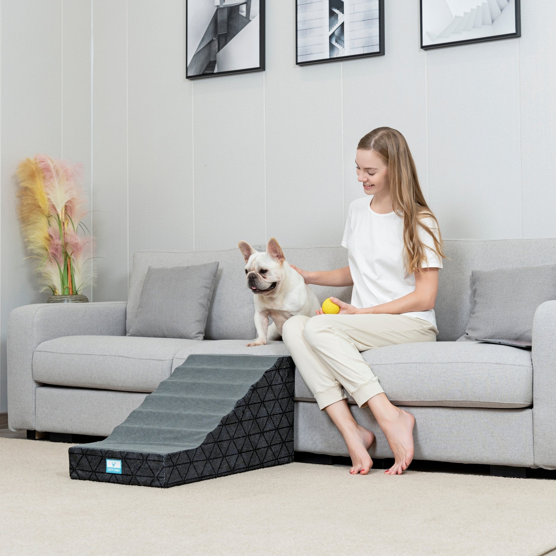 Pawsi Clawsi Grey Lightweight Portable Pet Ramp | Pet Ramp