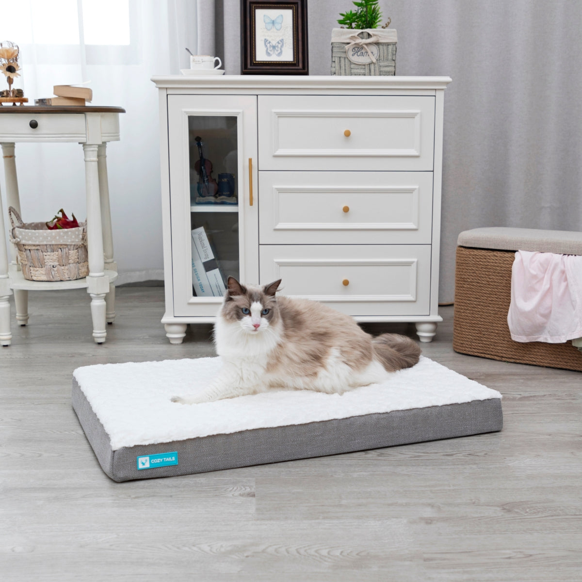 Gel Infused Memory Foam | Orthopedic Dog Bed