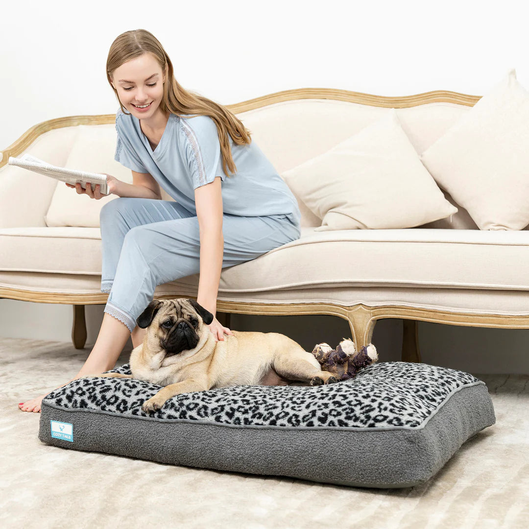 Best Dog Beds | Pawsi Clawsi