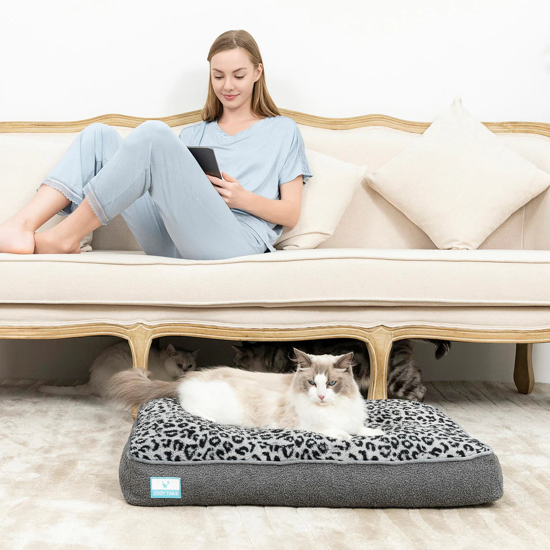 Memory Foam Dog Bed | Best Dog Beds | Pawsi Clawsi