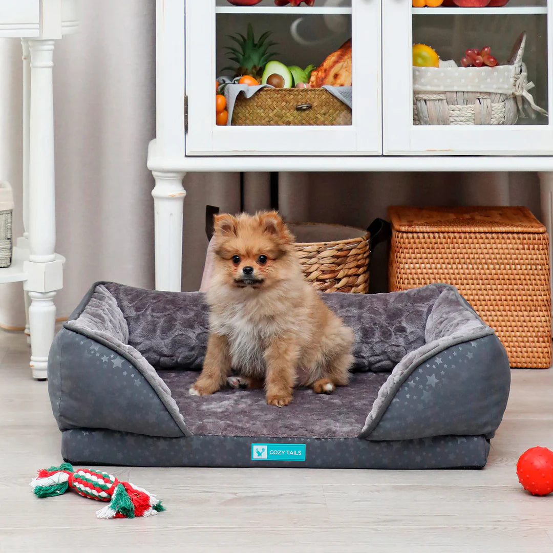 Orthopedic Dog Couch Bed