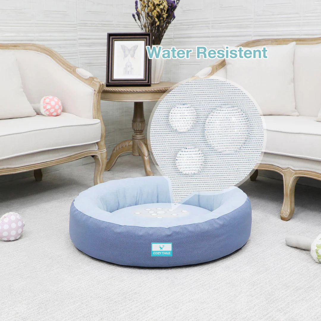 Water Resistent  | Shredded Memory Foam | Pawsi Clawsi