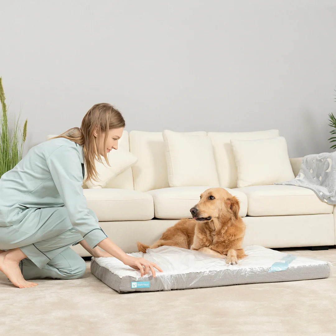 Orthopedic Dog Bed | Pawsi Clawsi