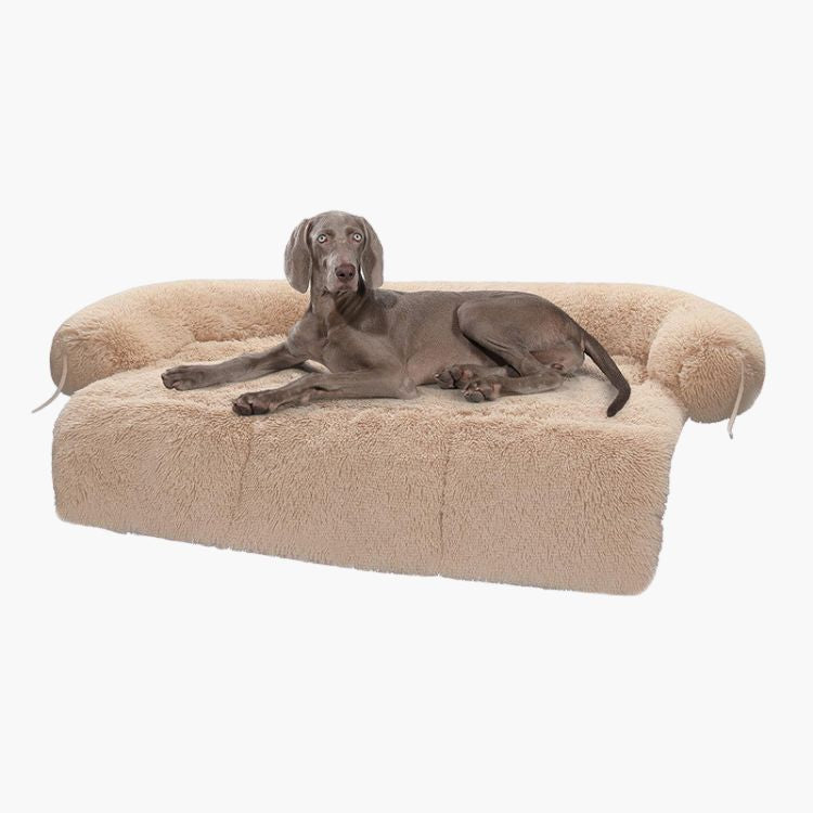 Calming beds for dogs | Pawsi Clawsi | Calming beds