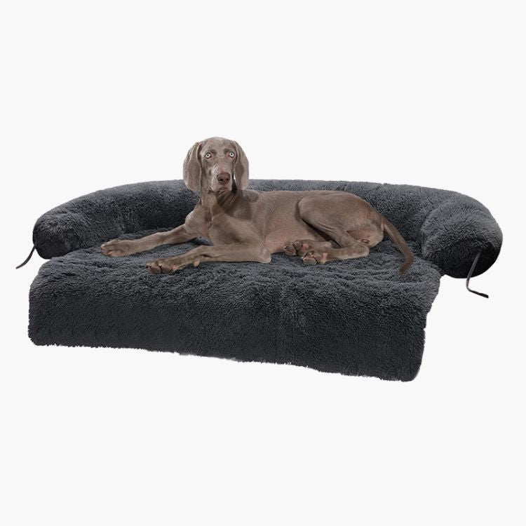 Calming beds for dogs | Pawsi Clawsi Dog Beds