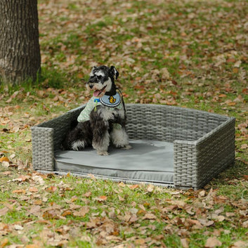 Scratch-Resistant Rattan Dog Bed With Cushion