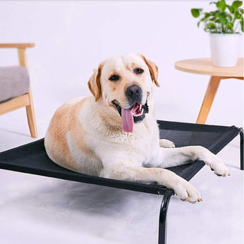 Portable Elevated Dog Cooling Cot Bed