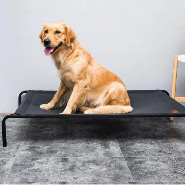 Elevated dog bed | Pawsi Clawsi