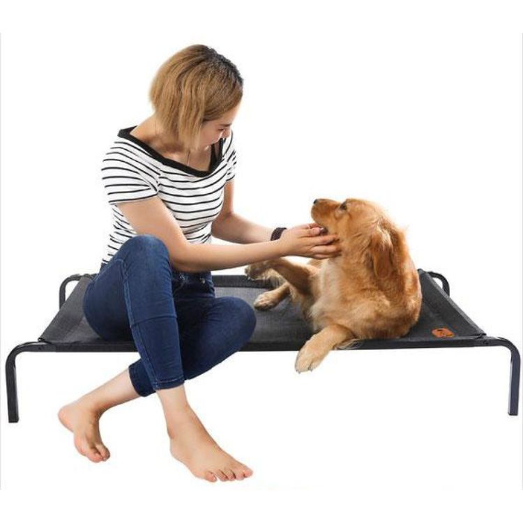 Dog bed | Best elevated dog bed