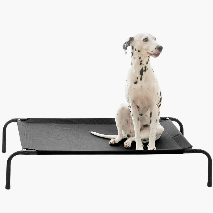 Elevated bed for dogs | Pawsi Clawsi