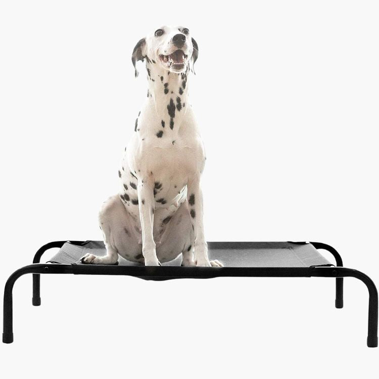 Elevated dog beds | Dog elevated bed | Pawsi Clawsi