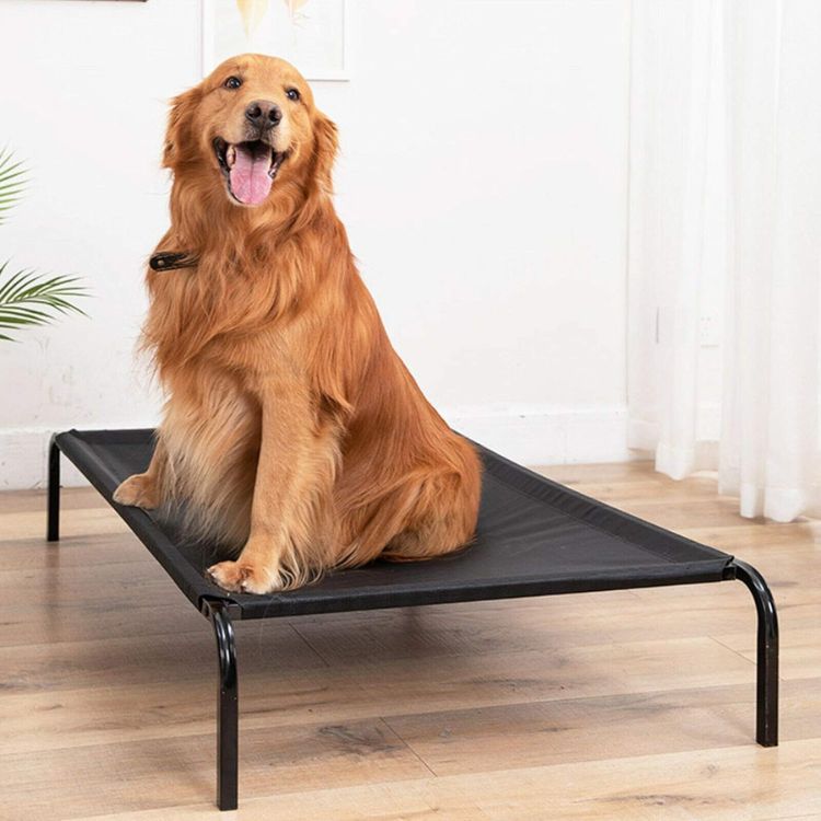 Pawsi Clawsi elevated bed for dogs