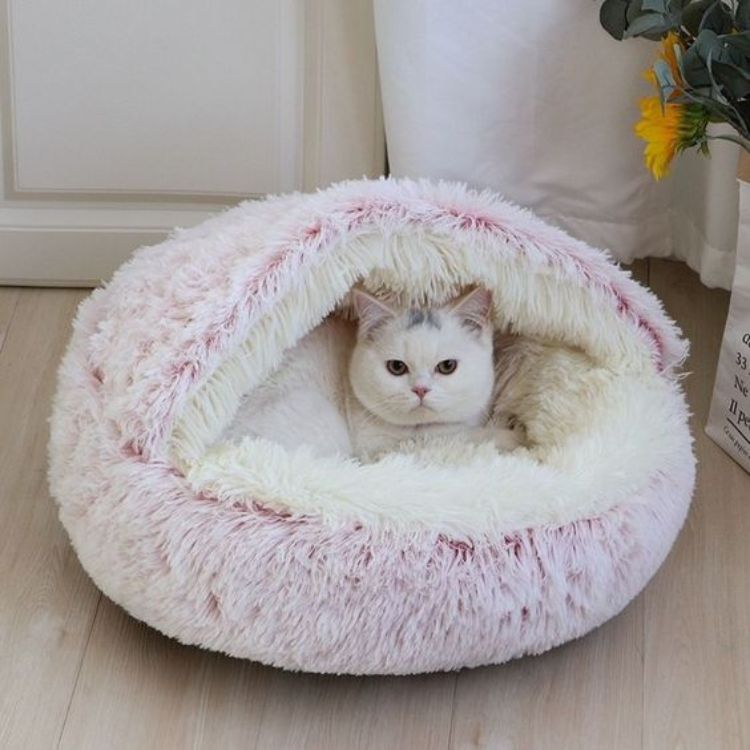 Best Cat bed | Pawsi Clawsi