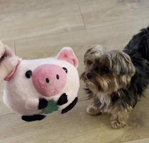 Bouncing Plush Toy with Fun Music