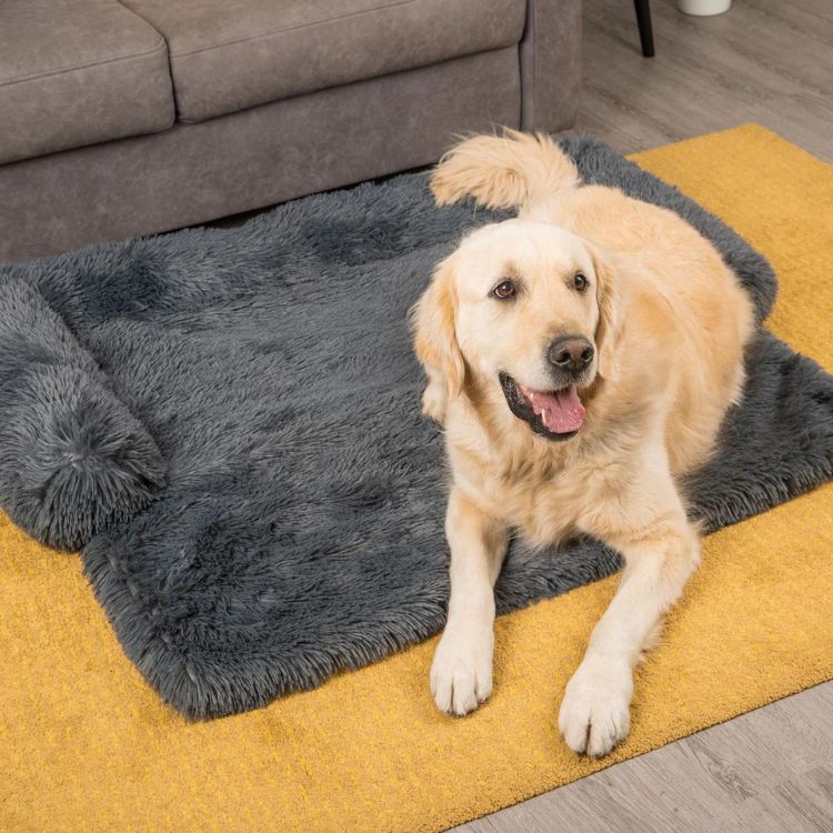 Pawsi Clawsi |  Calming Beds for Dogs