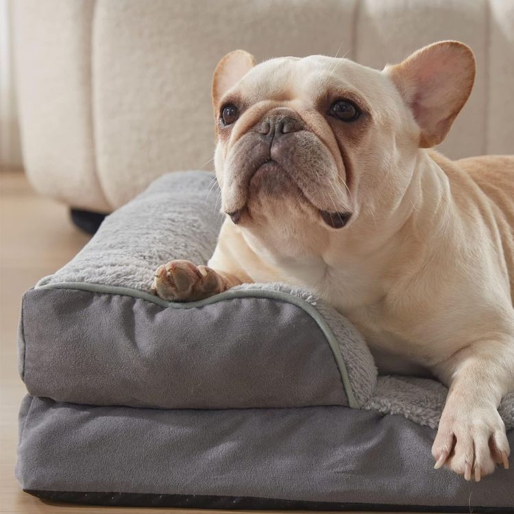 Washable Bolster Dog Sofa Bed | Dog Sof bed