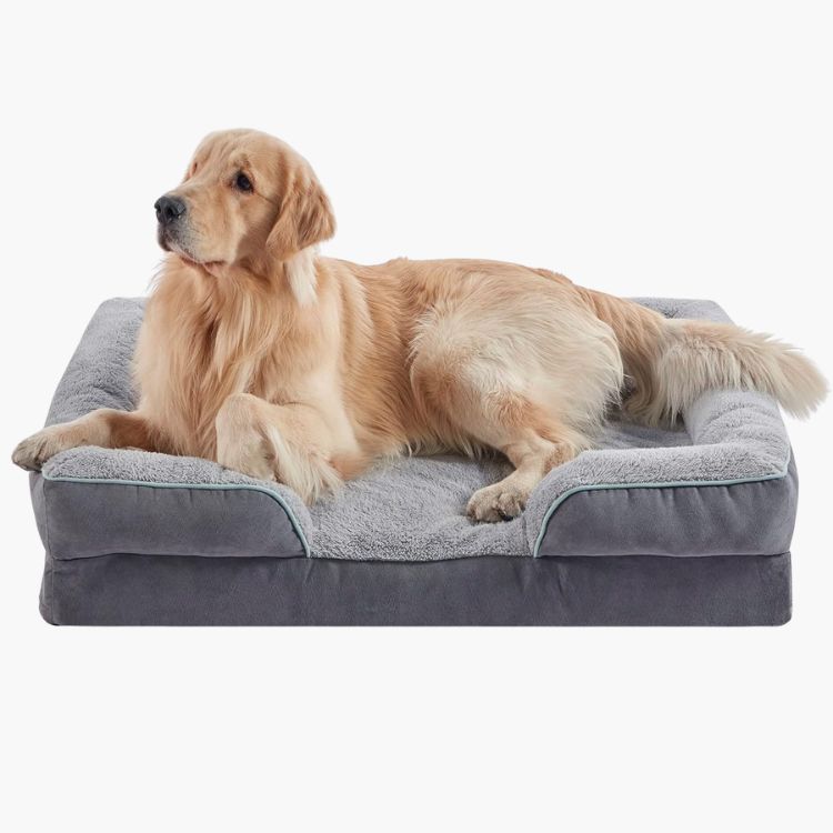 Orthopedic Dog Beds (Pressure Relieving)