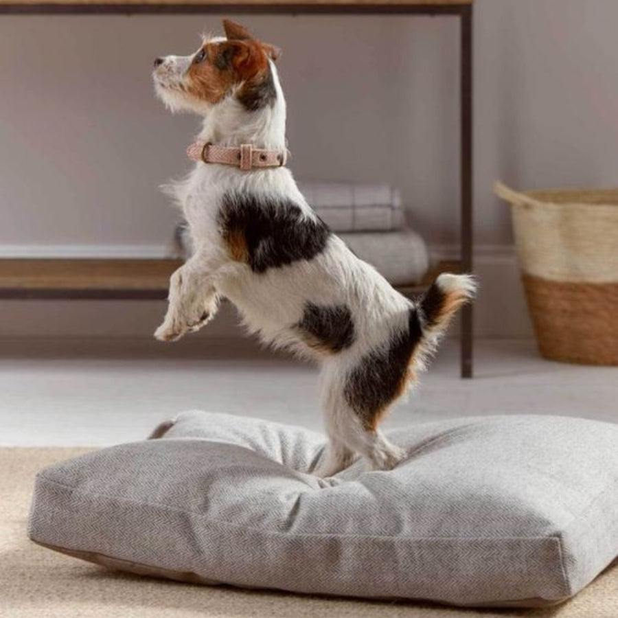 Premium Dog Calming Bed