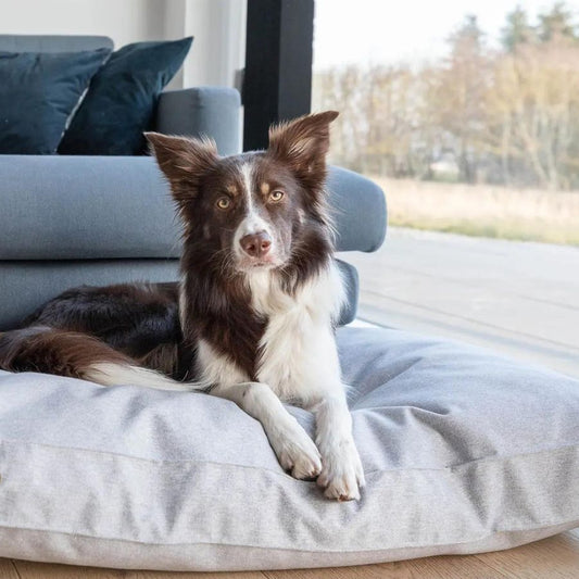 Water-Resistant Premium Dog Calming Bed