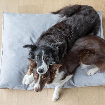 Water-Resistant Premium Dog Calming Bed
