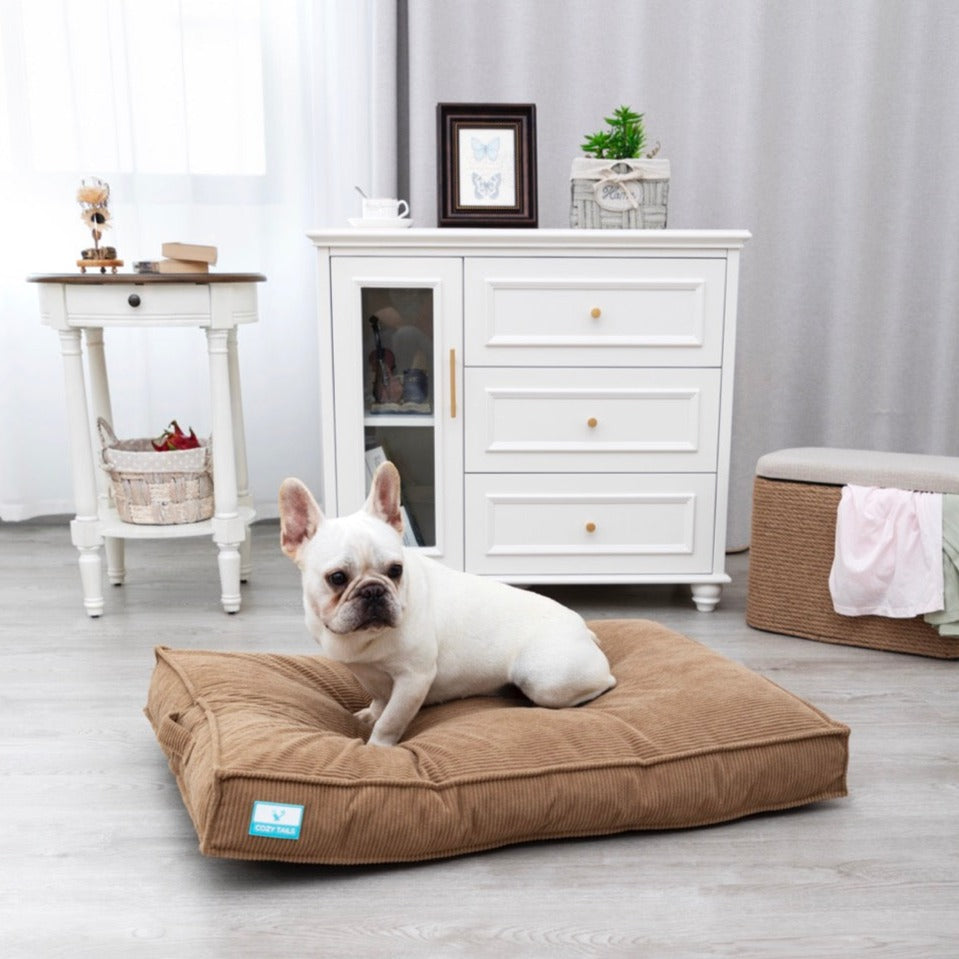 Tan Shredded Memory Foam Dog Bed With Waterproof Liner | Pawsi Clawsi