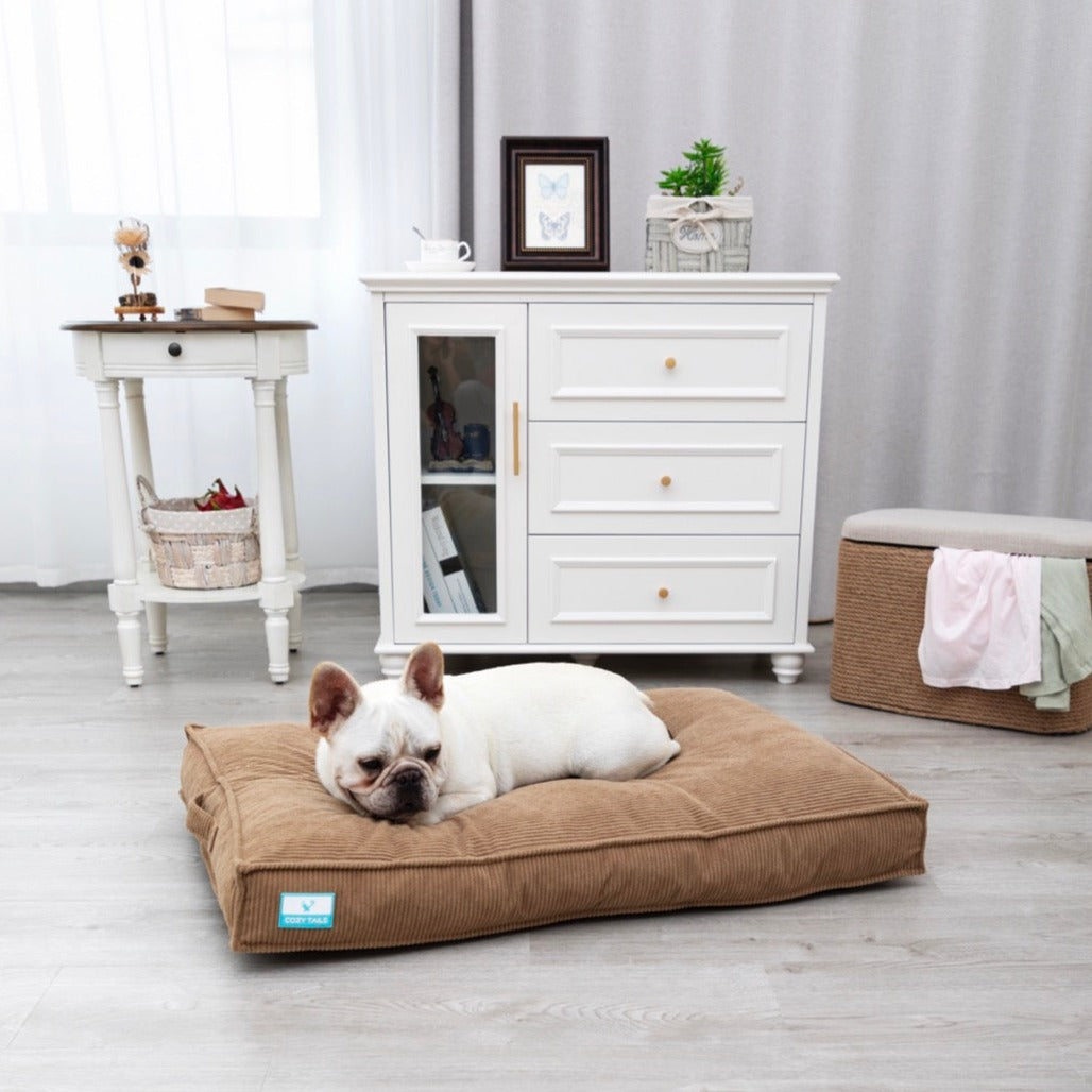 Orthopedic Dog Beds (Pressure Relieving) | Pawsi Clawsi