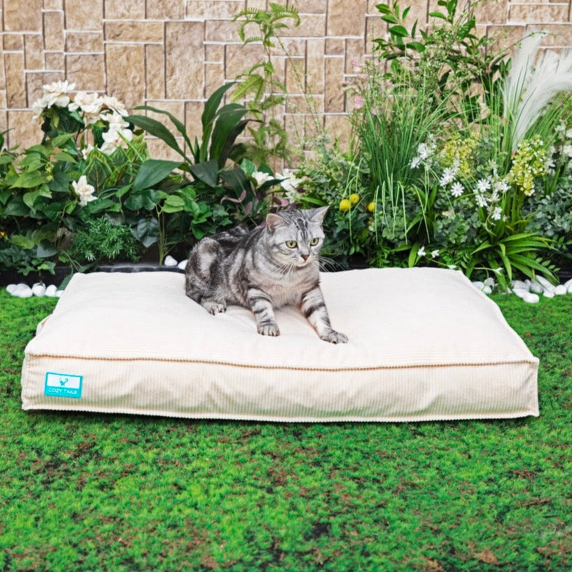 Shredded Memory Foam | Pawsi Clawsi 