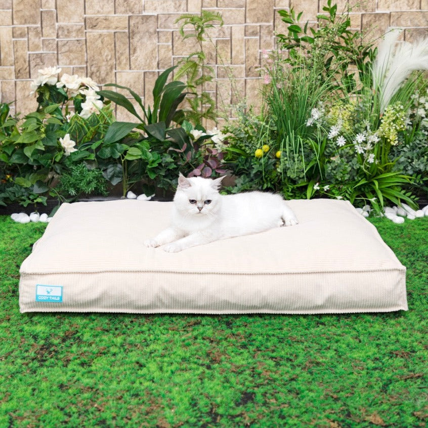 Memory Foam Dog Bed With Waterproof Liner | Pawsi Clawsi